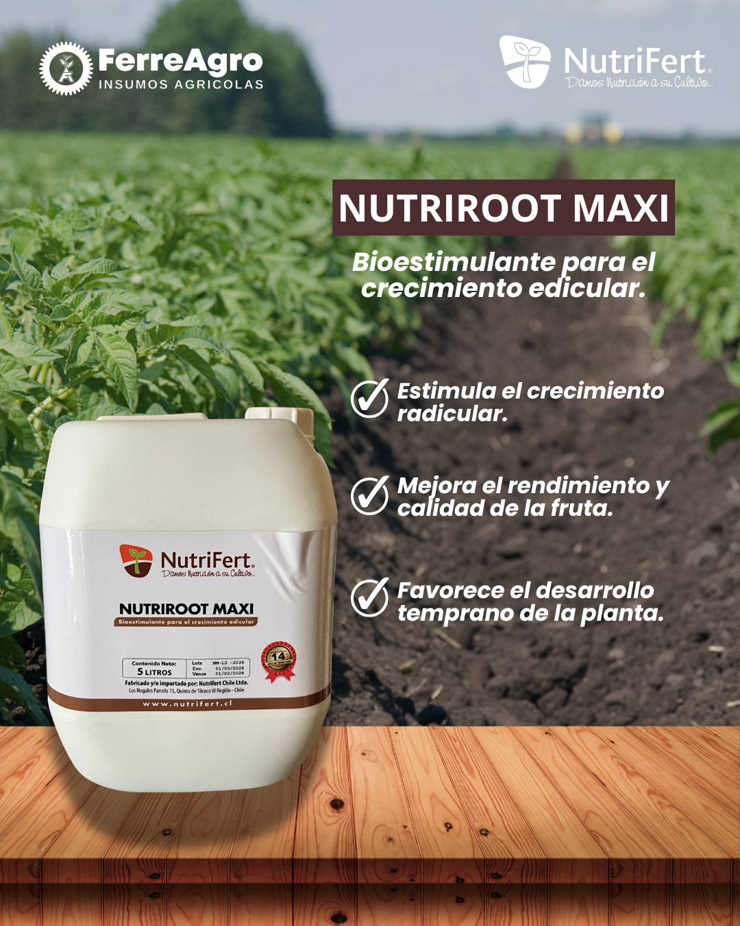 NUTRIFERT NUTRIROOT MAXI 5 LITROS