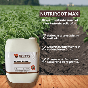 NUTRIFERT NUTRIROOT MAXI 5 LITROS 