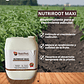 NUTRIFERT NUTRIROOT MAXI 5 LITROS  - Miniatura 1