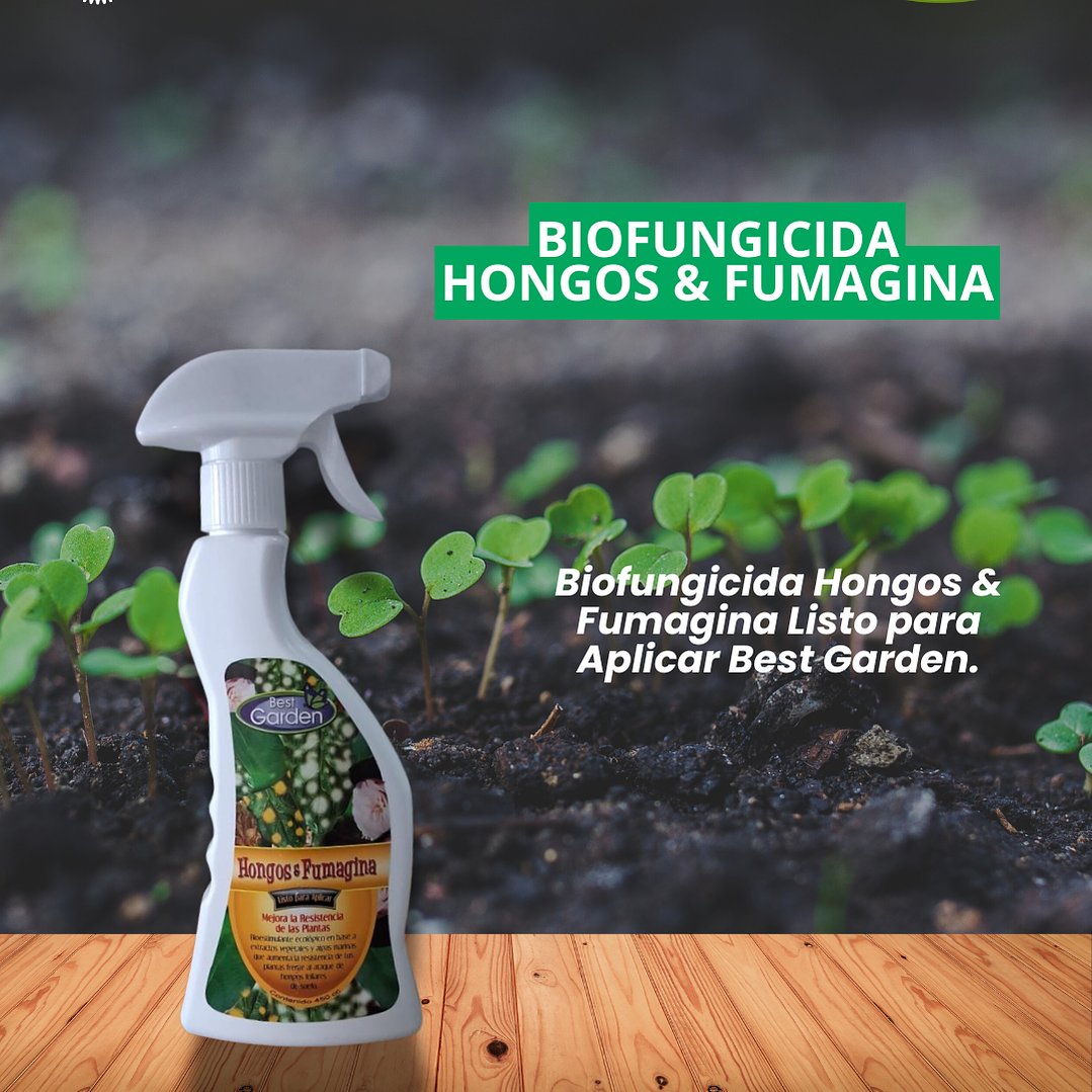 CONTROL NATURAL HONGOS FUMAGINA450 CC / BEST GARDEN 1