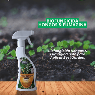 CONTROL NATURAL HONGOS FUMAGINA450 CC / BEST GARDEN