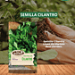 SEMILLA CILANTRO / BEST GARDEN  - Miniatura 1