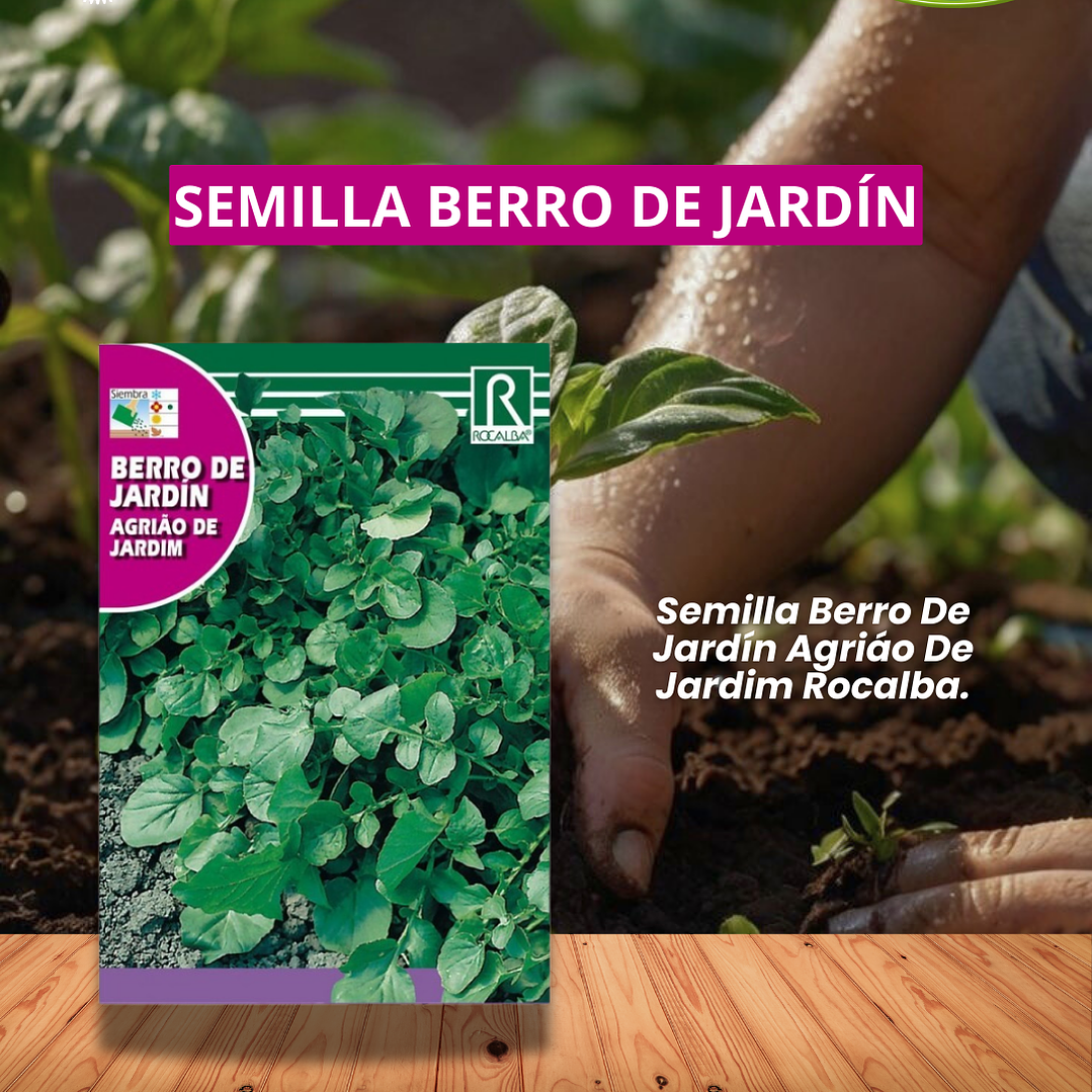 ROCALBA SEMILLA BERRO JARDIN 3 GRS /BEST GARDEN  1