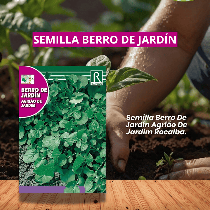ROCALBA SEMILLA BERRO JARDIN 3 GRS /BEST GARDEN  1