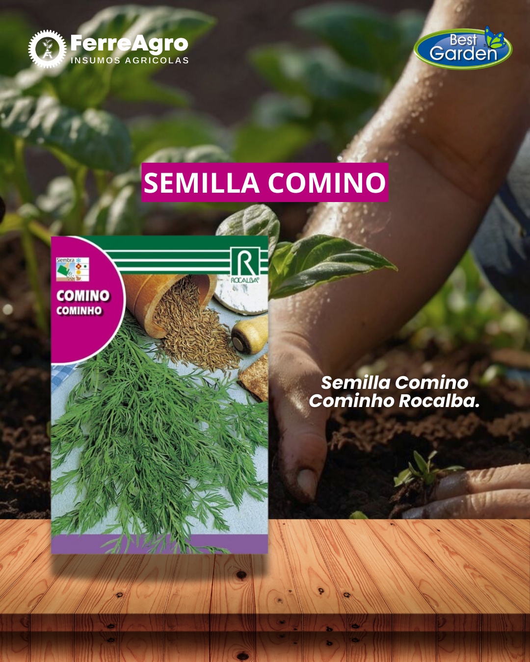 ROCALBA SEMILLA COMINO 6 GRS