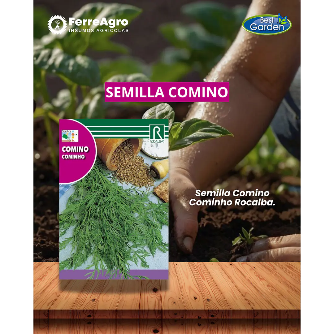 ROCALBA SEMILLA COMINO 6 GRS 1