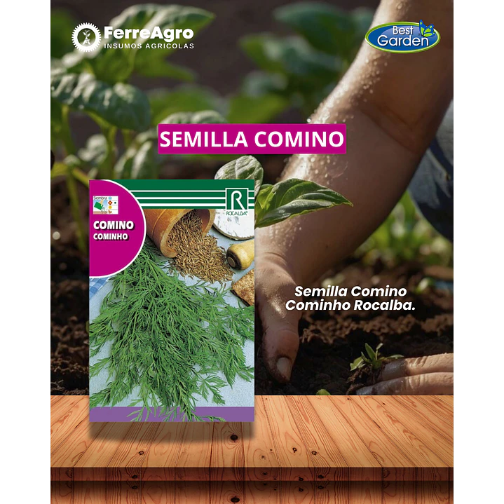 ROCALBA SEMILLA COMINO 6 GRS 1