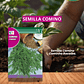 ROCALBA SEMILLA COMINO 6 GRS / BEST GARDEN  - Miniatura 1