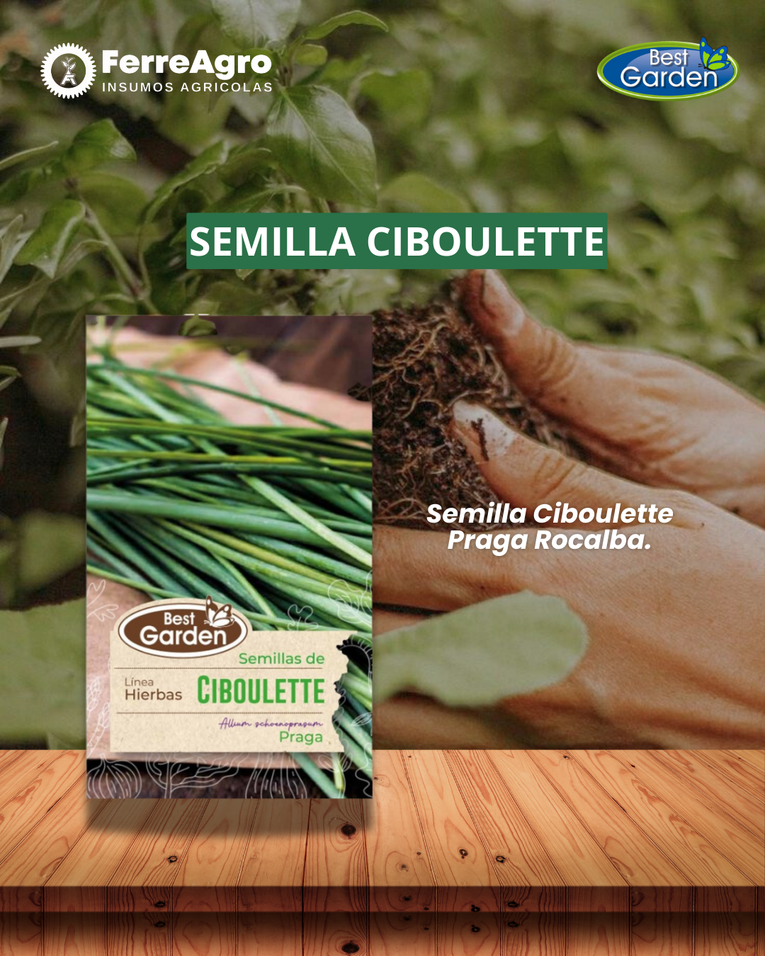 SEMILLA CIBOULETTE/ BEST GARDEN