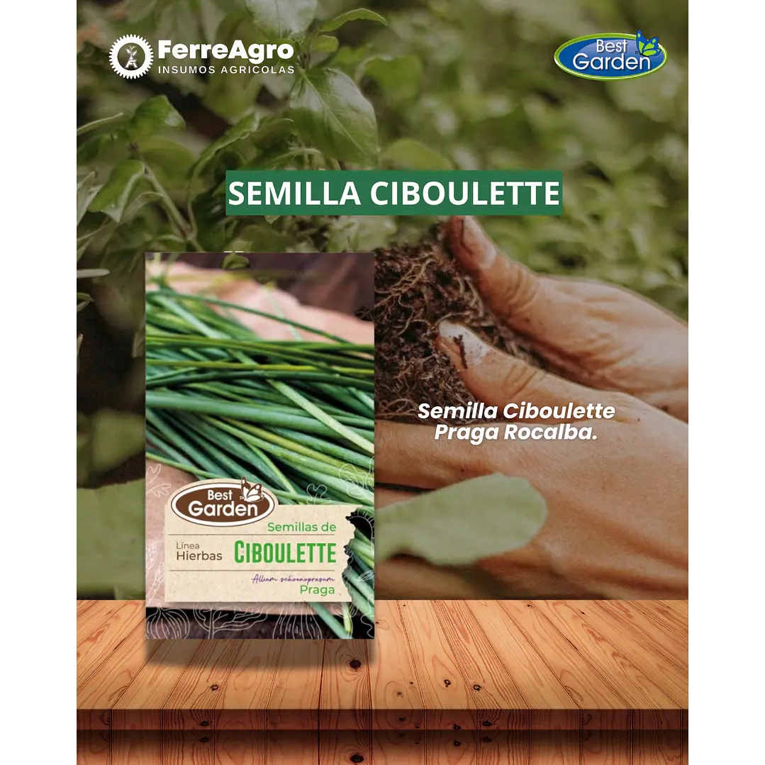 SEMILLA CIBOULETTE/ BEST GARDEN  1