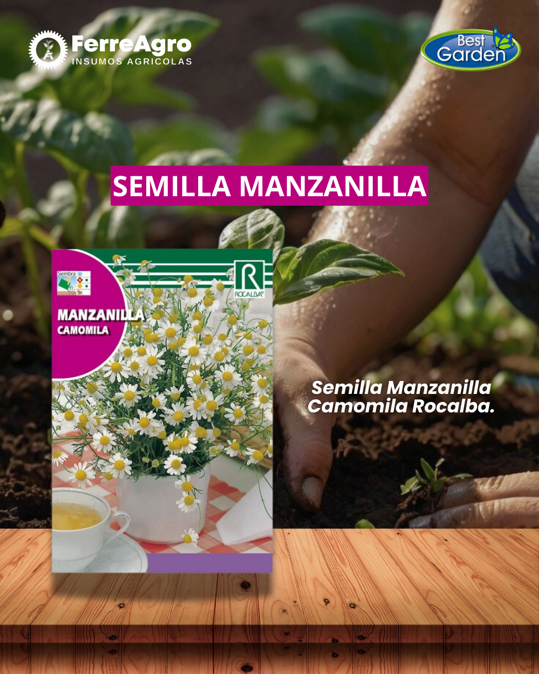 ROCALBA SEMILLA MANZANILLA