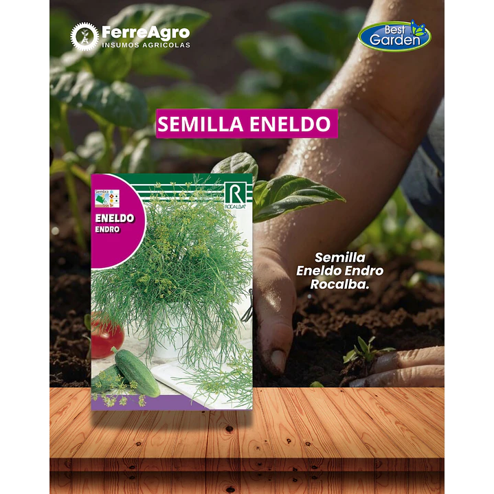 ROCALBA SEMILLA ENELDO 1