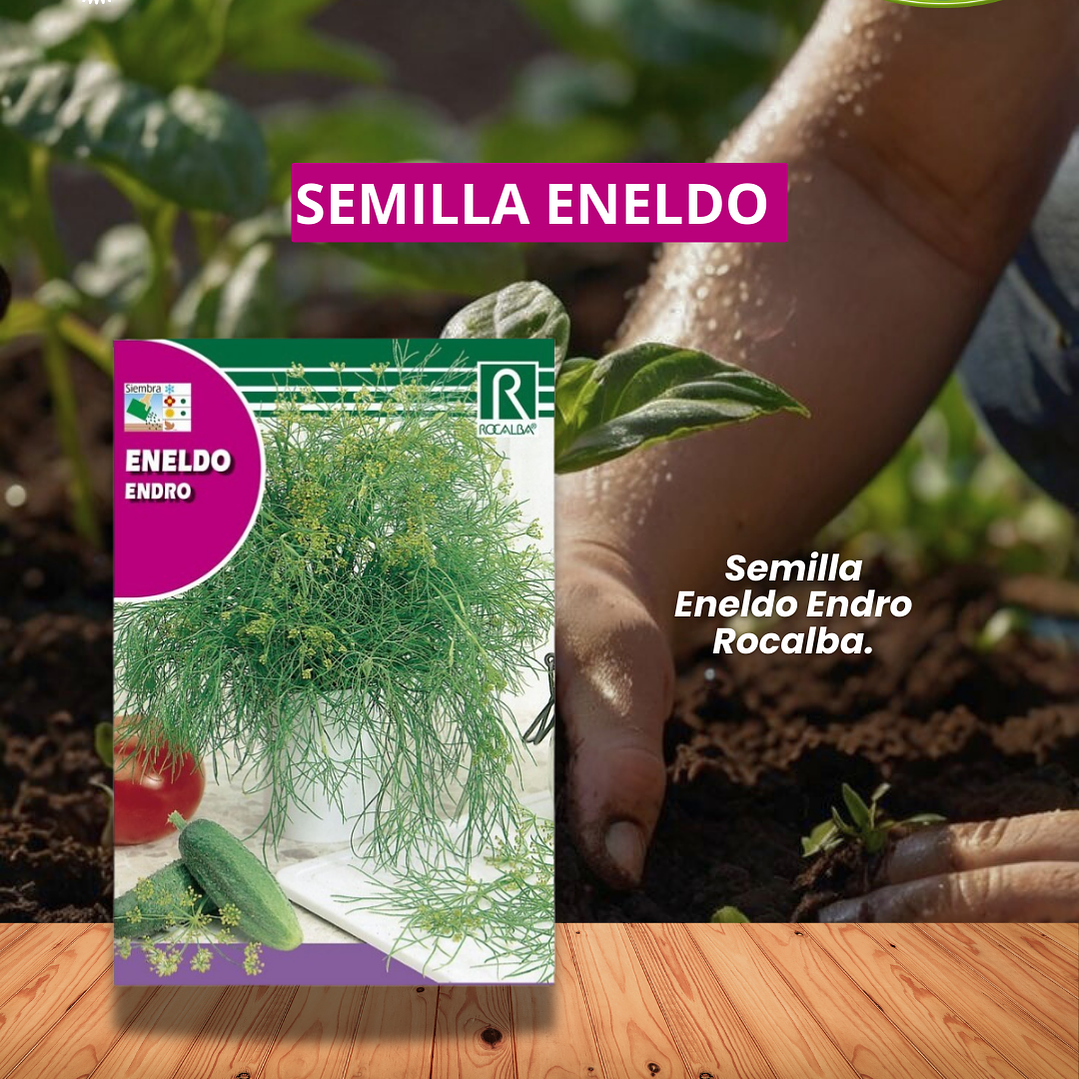 ROCALBA SEMILLA ENELDO / BEST GARDEN 1