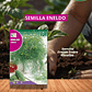ROCALBA SEMILLA ENELDO / BEST GARDEN - Miniatura 1