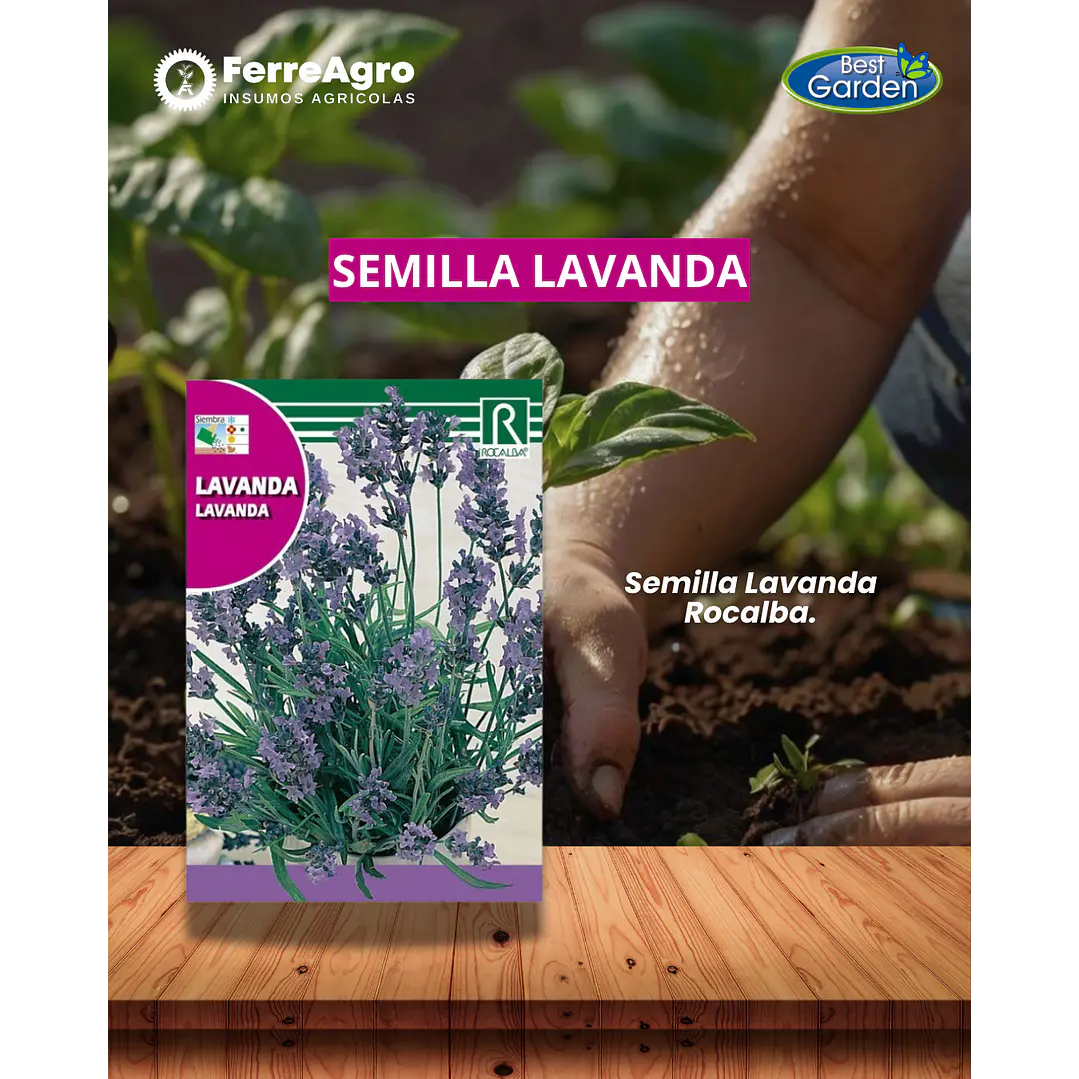 ROCALBA SEMILLA DE LAVANDA 1