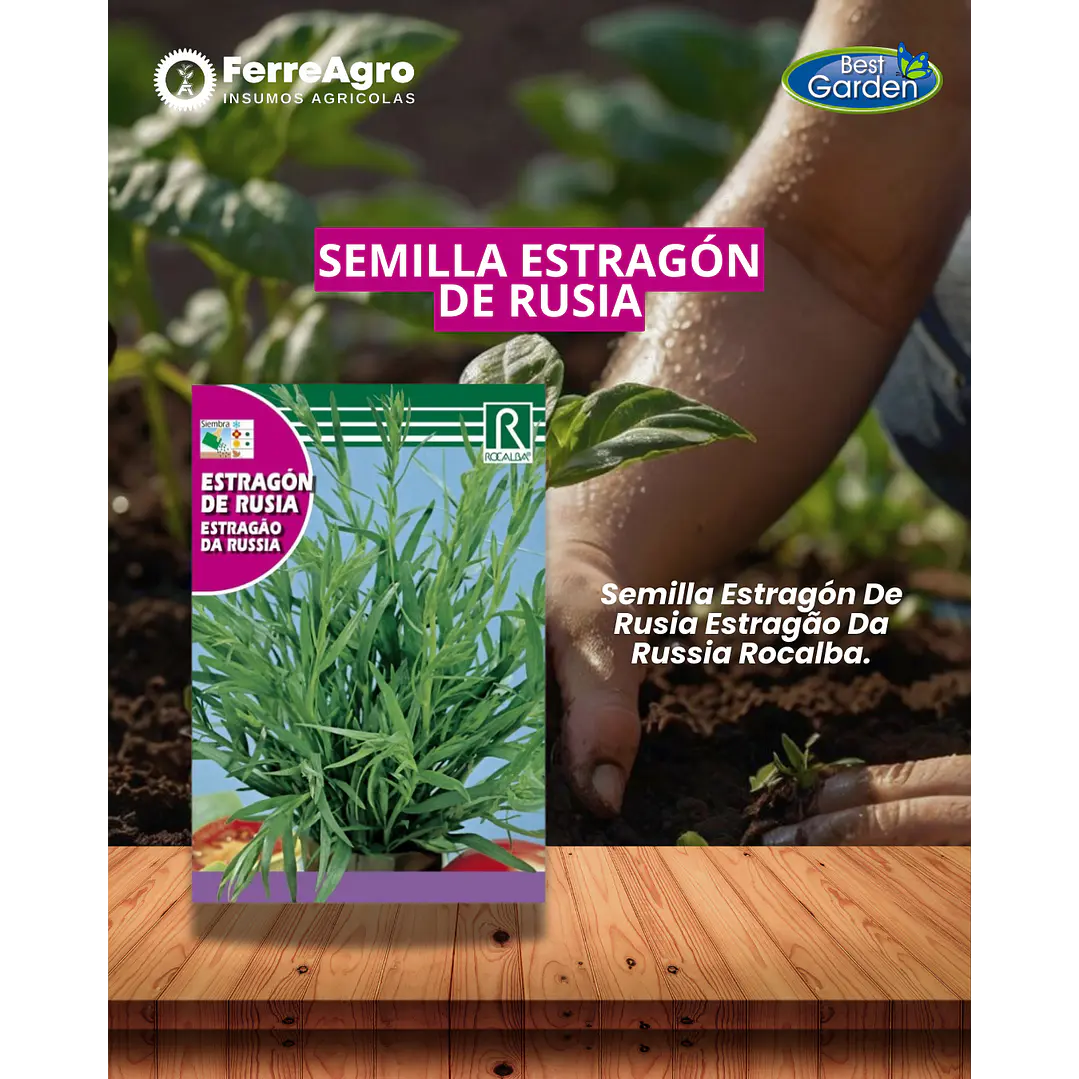 ROCALBA SEMILLAS ESTRAGON 1