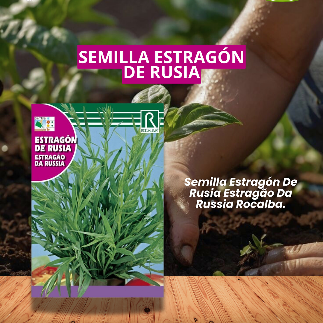 ROCALBA SEMILLA ESTRAGON 1