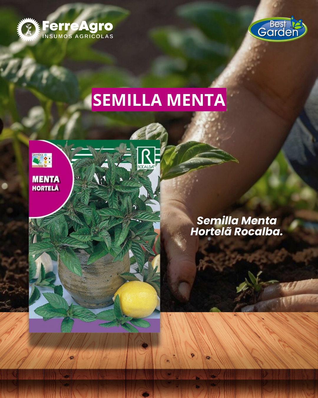 ROCALBA SEMILLA MENTA