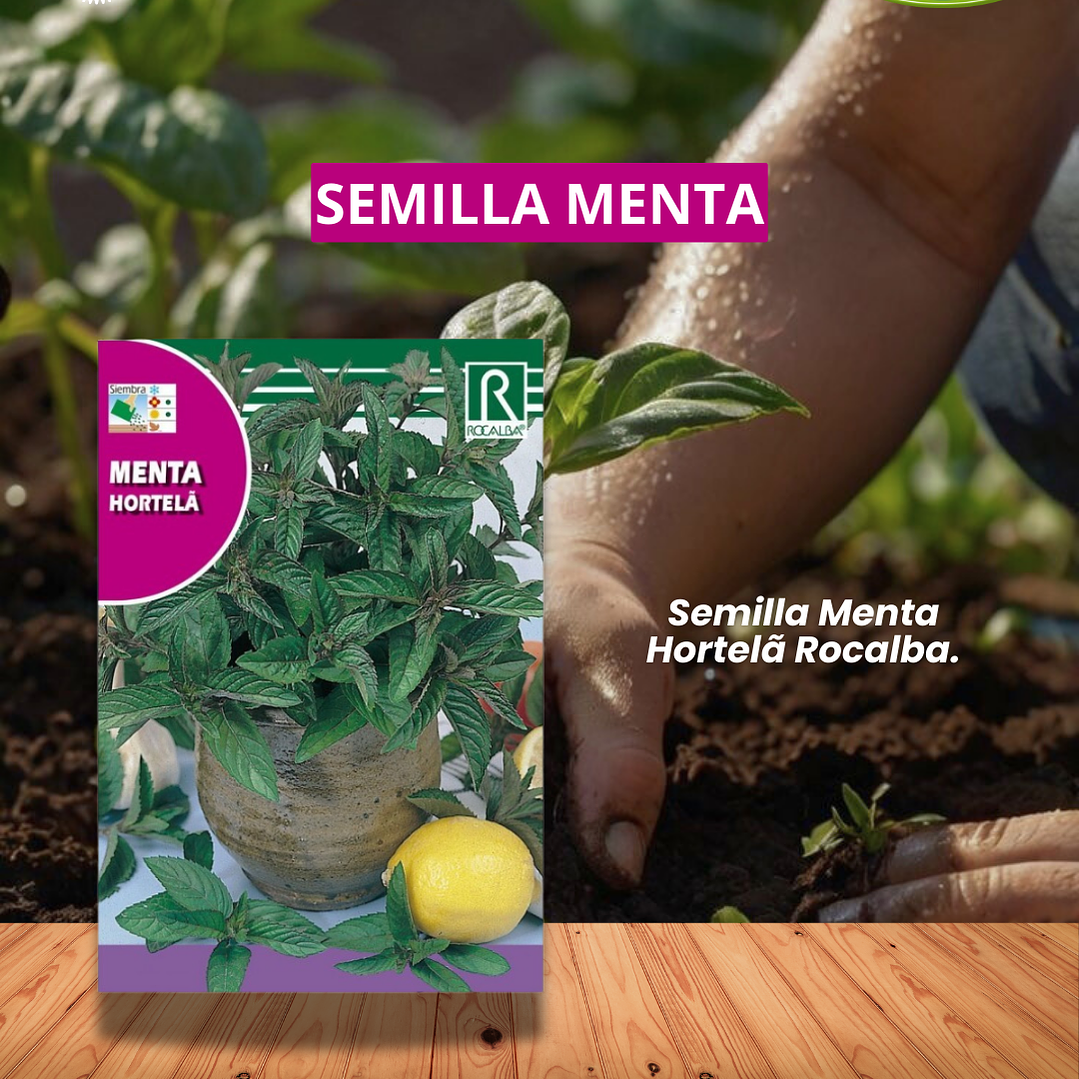 ROCALBA SEMILLA MENTA 0.05 GRS / BEST GARDEN  1