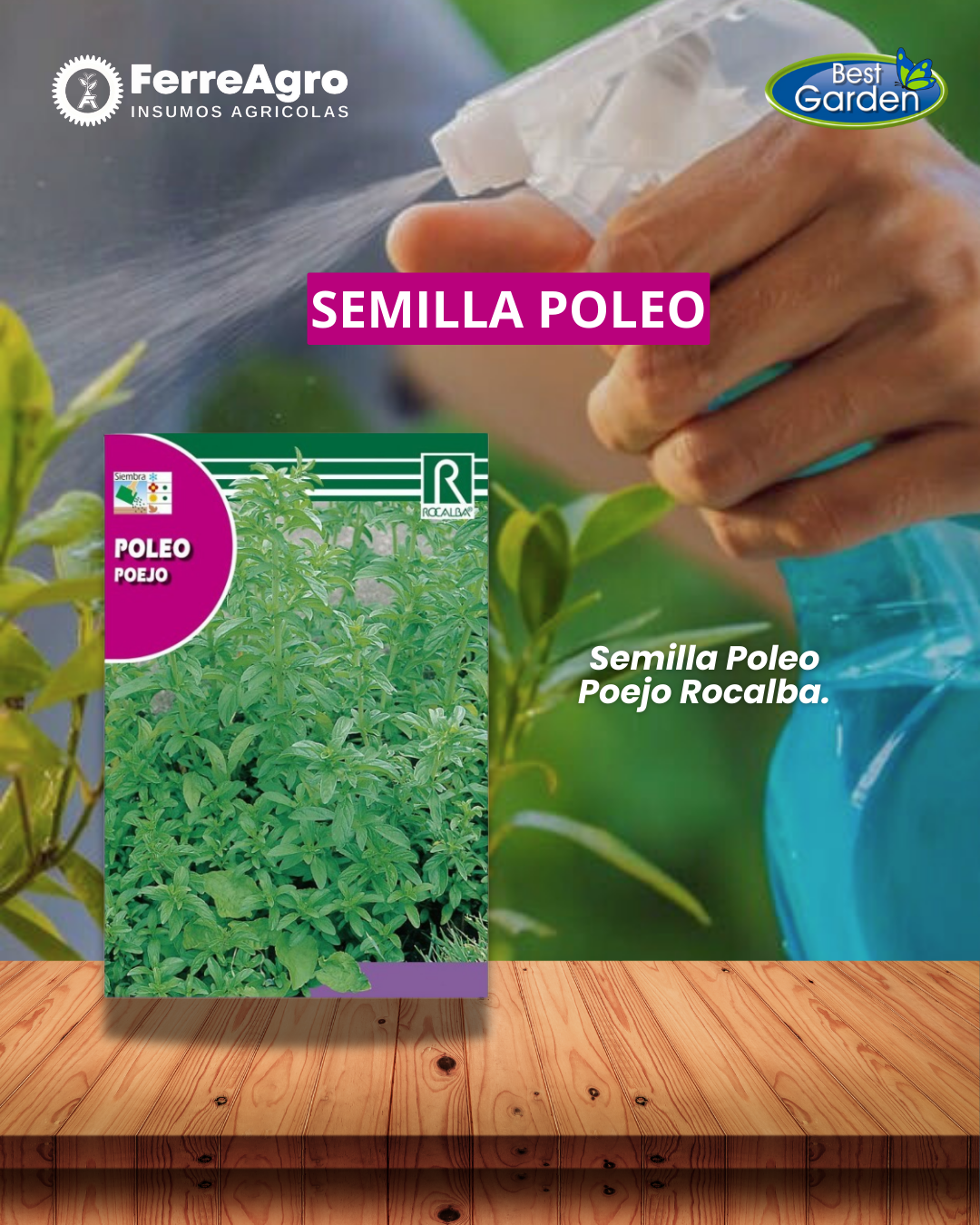 ROCALBA SEMILLA POLEO