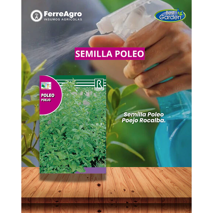ROCALBA SEMILLA POLEO 1