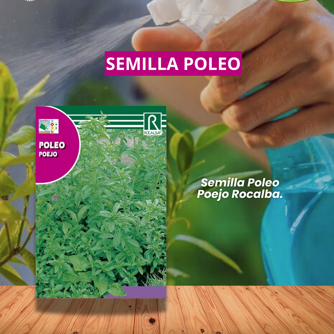 ROCALBA SEMILLA POLEO / BEST  GARDEN  1