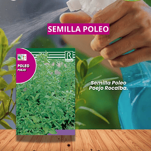 ROCALBA SEMILLA POLEO / BEST  GARDEN 