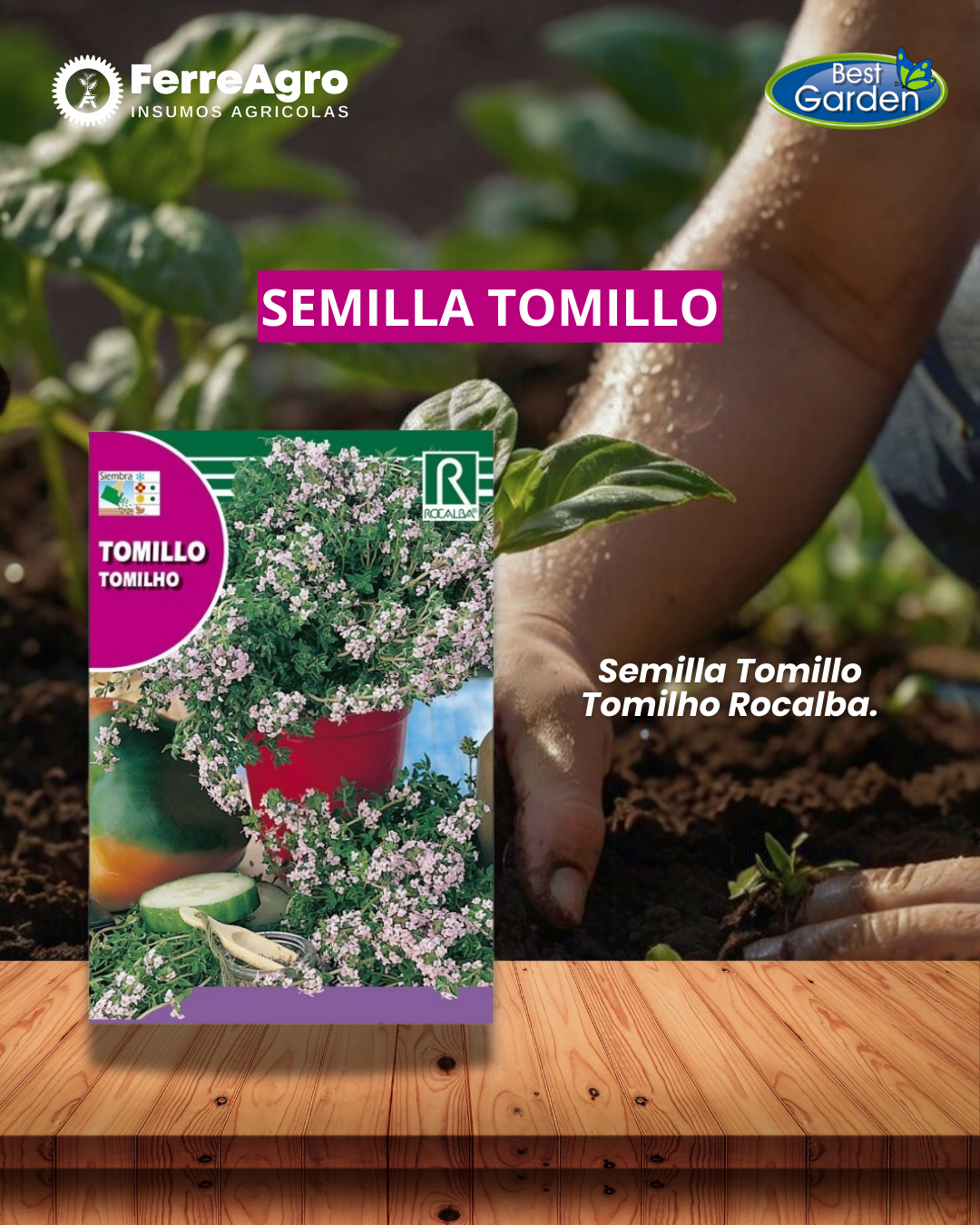 ROCALBA SEMILLA TOMILLO 1 GR
