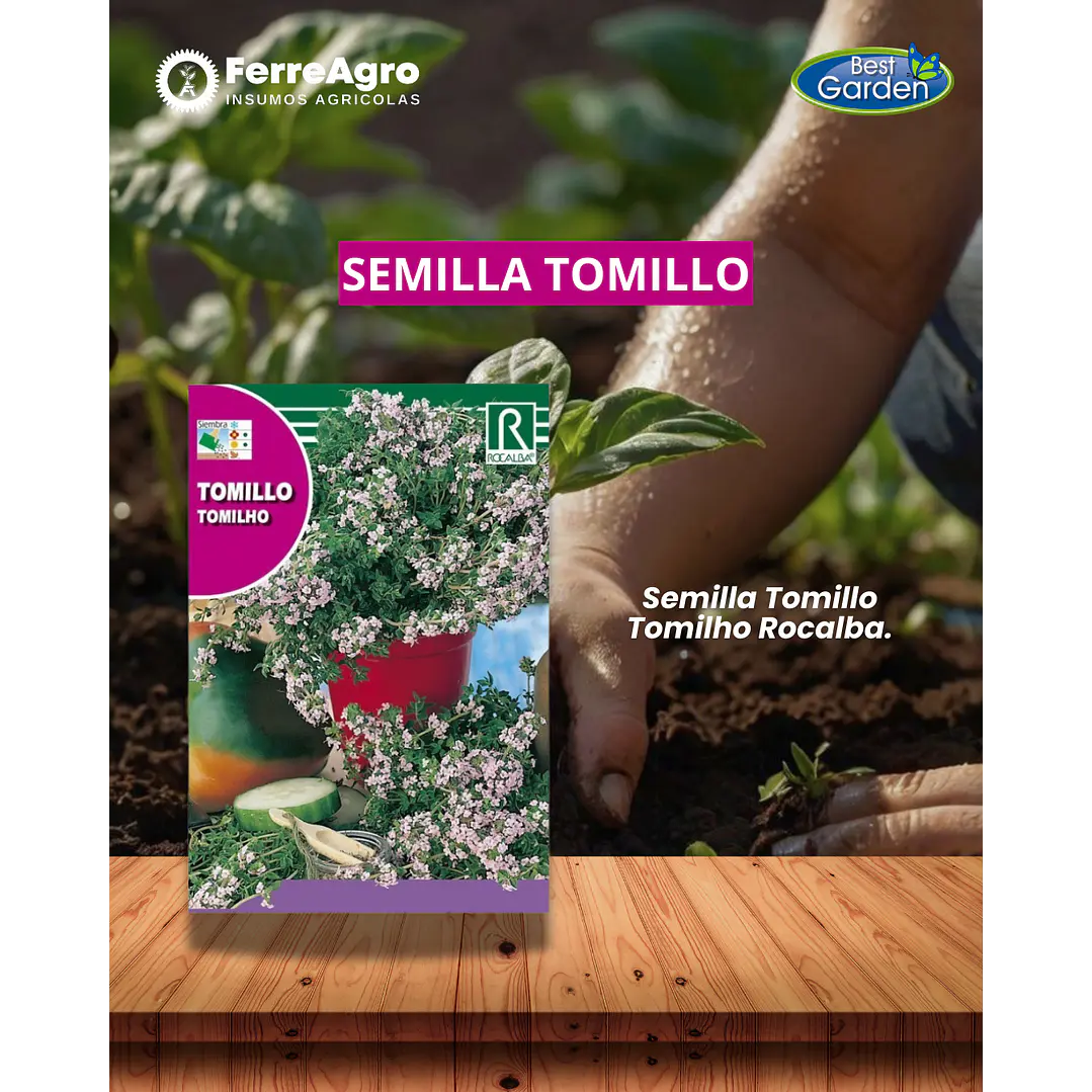 ROCALBA SEMILLA TOMILLO 1 GR 1