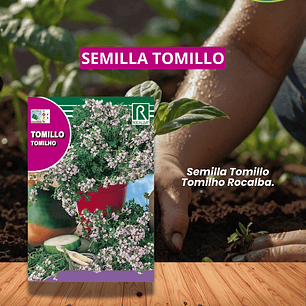 ROCALBA SEMILLA TOMILLO 1 GR / BEST GARDEN 