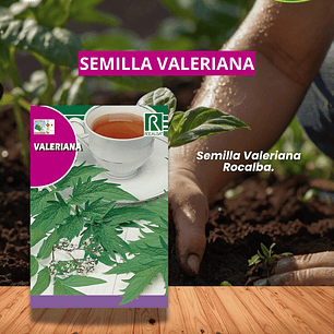 ROCALBA SEMILLA VALERIANA  0.2 GR/ BEST GARDEN 
