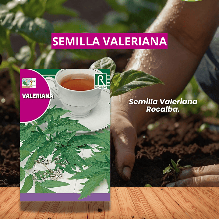 ROCALBA SEMILLA VALERIANA  0.2 GR/ BEST GARDEN  1