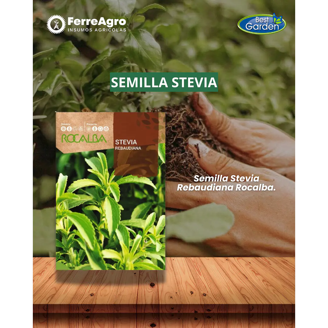 ROCALBA SEMILLA STEVIA 1