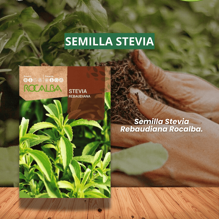 ROCALBA SEMILLA STEVIA 0.02 GRS / BEST GARDEN  1