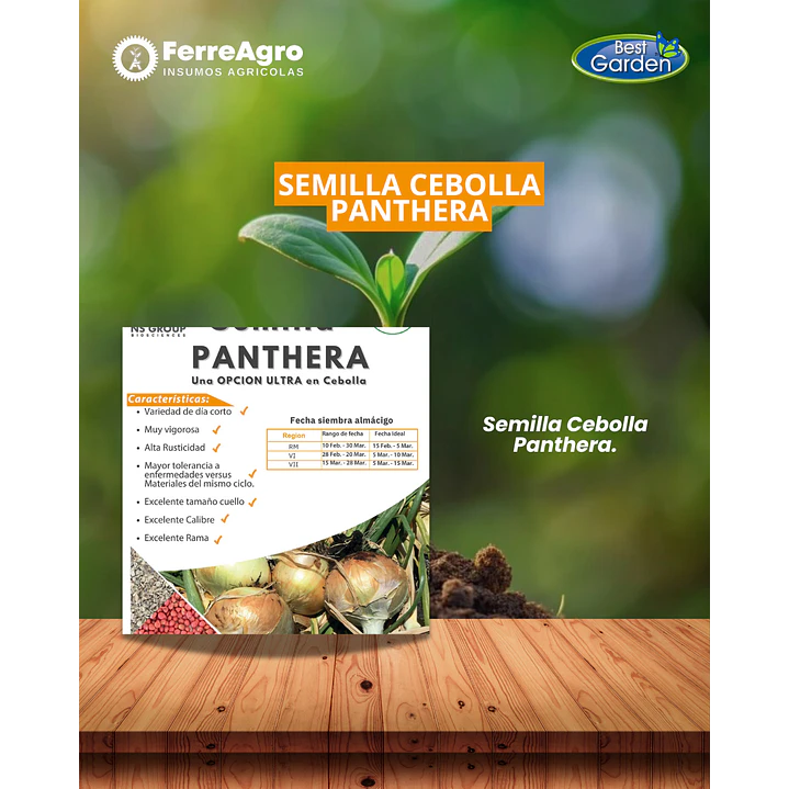 SEMILLA DE CEBOLLA PANTHERA 1