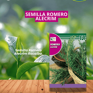 ROCALBA SEMILLA ROMERO/BEST GARDEN 