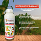 NUTRIGROW BALANCE 1 LITRO  - Miniatura 1