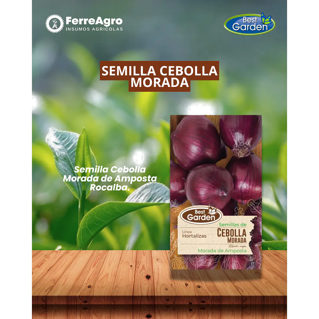 SEMILLA CEBOLLA MORADA 2 GRS/ BEST GARDEN  1