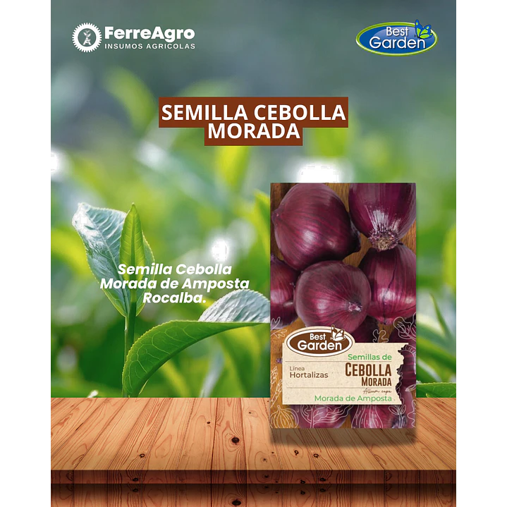 SEMILLA CEBOLLA MORADA 2 GRS/ BEST GARDEN  1