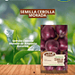 SEMILLA CEBOLLA MORADA 2 GRS/ BEST GARDEN  - Miniatura 1