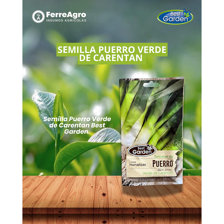 SEMILLA DE PUERRO 5 GRS / BEST GARDEN 1