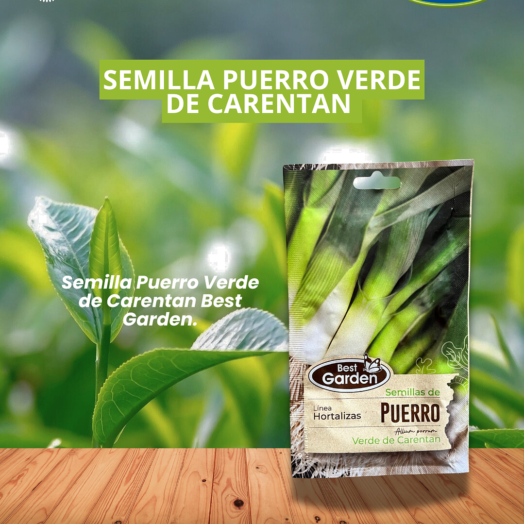 SEMILLA DE PUERRO 5 GRS / BEST GARDEN 1