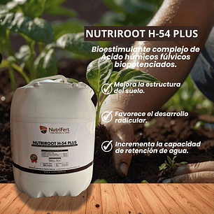NUTRIFERT NUTRIROOT H 54 PLUS  20 LITROS 