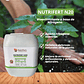 NUTRIFERT N20  5 LITROS - Miniatura 1