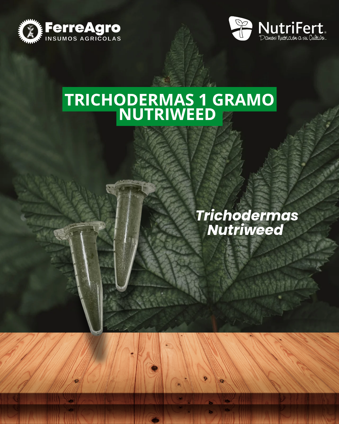 TRICHODERMAS 1 GRAMO/NUTRIWEED
