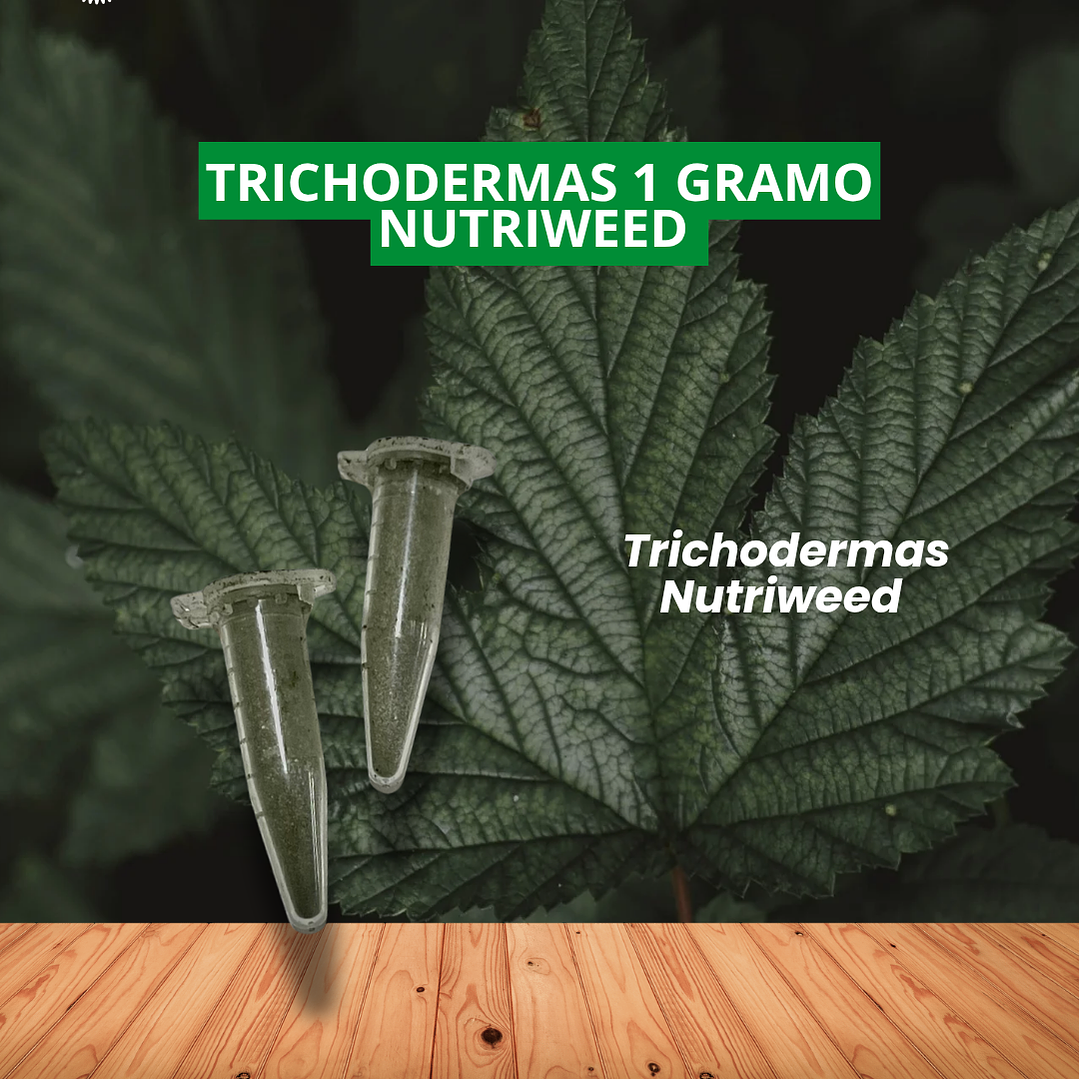 TRICHODERMAS 1 GRAMO/NUTRIWEED 1