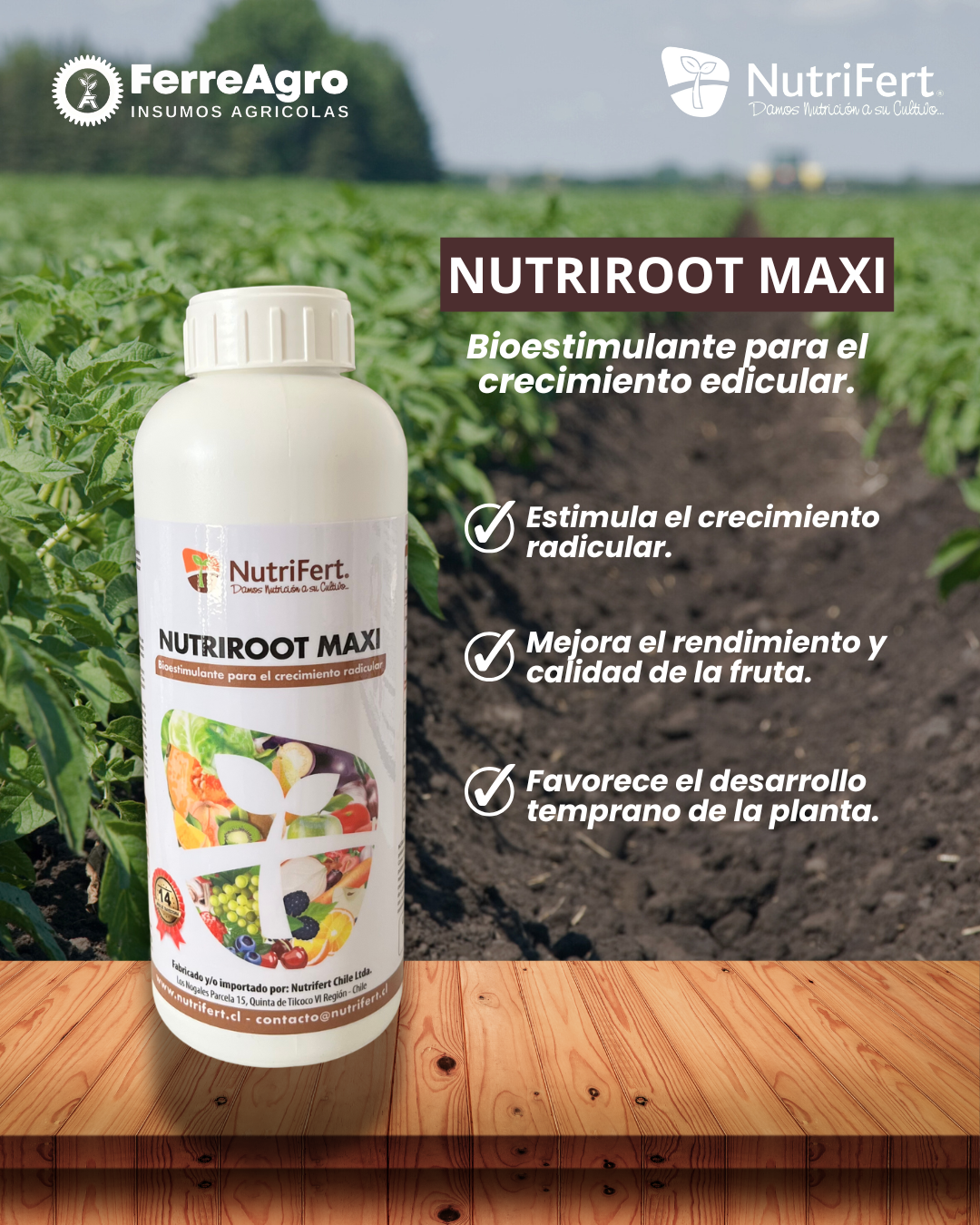 NUTRIFERT NUTRIROOT MAXI 1 LITRO