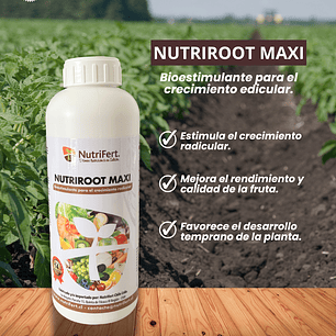NUTRIFERT NUTRIROOT MAXI 1 LITRO