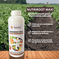 NUTRIFERT NUTRIROOT MAXI 1 LITRO - Miniatura 1