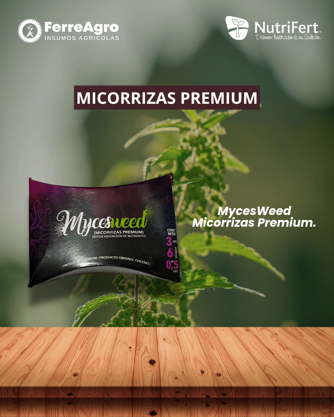 MICORRIZAS 6 GRS /NUTRIWEED